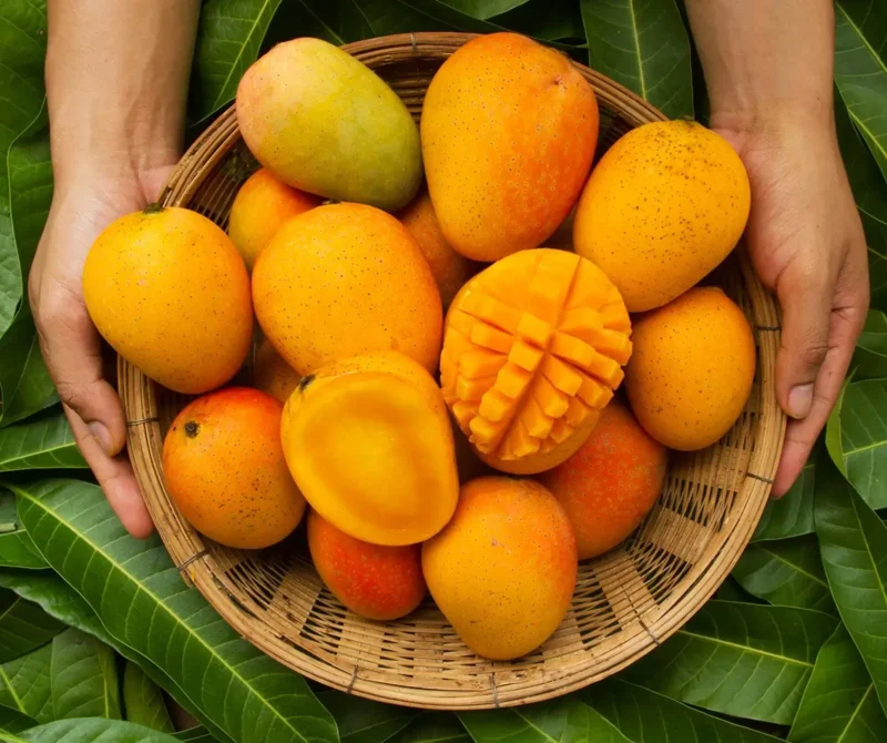 Mango-Month v1